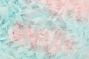 Soft blue and pink feathers from a boa