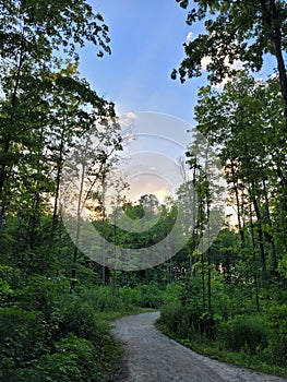 Soft Blue Sky Above Schmidt Woods