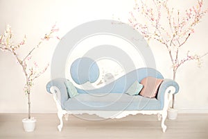 A soft blue sofa with artificial flowering trees in a white living room. Classic style sofa in the house. Antique wooden sofa armc