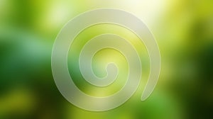 Soft-blur of a tropical rainforest with vibrant foliage and sunlight filtering