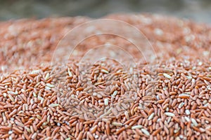 The soft blurred and soft focus surface texture dry method of red sticky rice, rice berry seed grain.