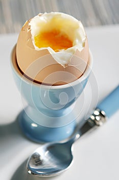 Soft-Boiled Egg