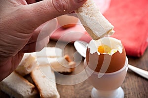 Soft boiled egg in egg cup and served with toast fingers