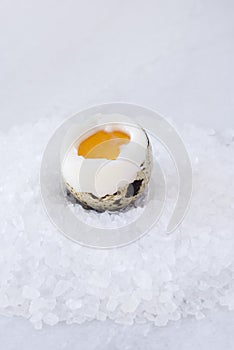 Soft-Boiled Quail Egg