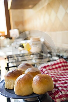 Soft bread rolls at the milk