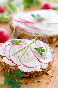 Soft cheese and radishes