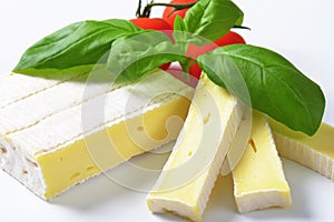 Soft cheese with thin white rind photo