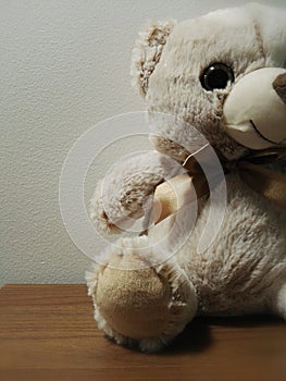 Soft children`s toy of a beige bear cub sitting on a shelf.
