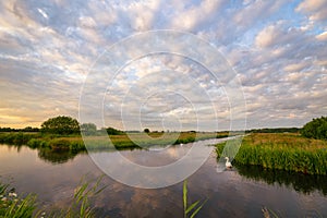 Soft clouds over calm water in the Dutch countryside photo