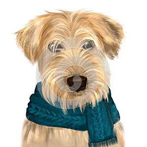 Soft coated wheaten terrier with long haired coat with green scarf. Digital art portrait of dog terrier with furry muzzle, hand