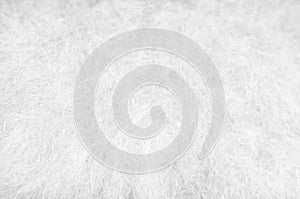 Soft color background , texture white with black fluffy pomeranian dog fur patterns