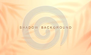 Soft color palm shadow background