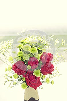 Soft color Roses Background