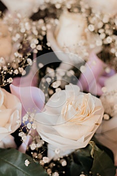 Soft color Roses in bouquet Background