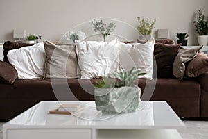 Soft comfortable velvet couch in empty living room with nobody