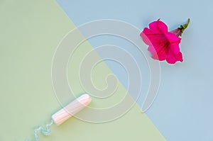 Soft cotton tampon for women period days in front of a petunia flower. Hygiene products for women`s monthly menstruation
