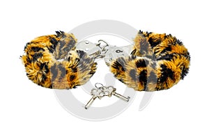 Soft cuffs with color under leopard for sexual games, isolated on a whi