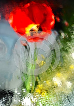 Impressionist Artistic Photo of Red Tulip photo