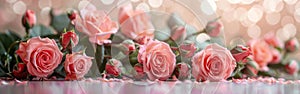 Soft and Delicate: Pink Roses on a Clean White Background