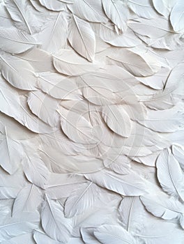 Soft and delicate white feathers background photo
