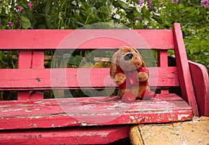 Soft dog toy thrown on the bench