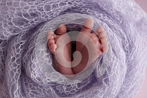 Soft feet of a new born in a lilac, purple wool blanket. Close up of toes, heels and feet of newborn