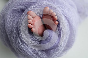 Soft feet of a new born in a lilac, purple wool blanket. Knitted purple heart in the legs of a baby.