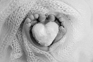 Soft feet of a new born in a wool blanket. Close up of toes and feet of a newborn. Knitted heart in the legs of baby.