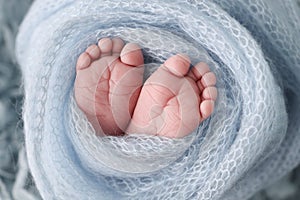 Soft feet of a newborn in a blue woolen blanket. Close-up of toes, heels and feet of a newborn baby.