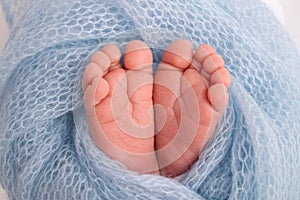 Soft feet of a newborn in a blue woolen blanket. Close-up of toes, heels and foot of a newborn baby.