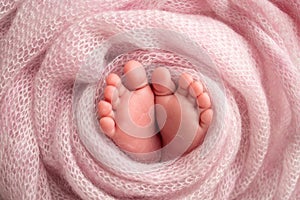 Soft feet of a newborn in a pink blanket. Toes, heels and feet of a newborn baby
