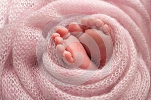 Soft feet of a newborn in a pink blanket.Toes, heels and feet of a newborn baby
