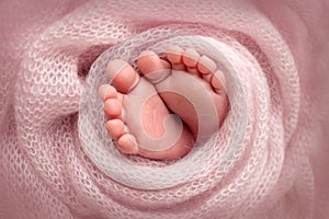 Soft feet of a newborn in a pink woolen blanket. Close-up of toes, heels and feet of a newborn baby