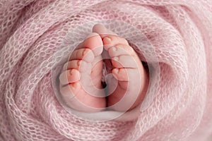 Soft feet of a newborn in a pink woolen blanket. Close-up of toes, heels and feet of a newborn baby.