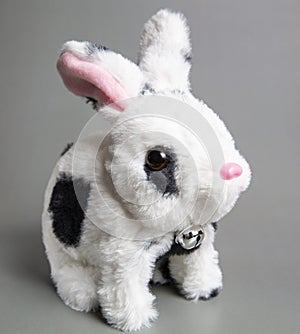 Soft fluffy rabbit toy with long ears, isolated on a white background