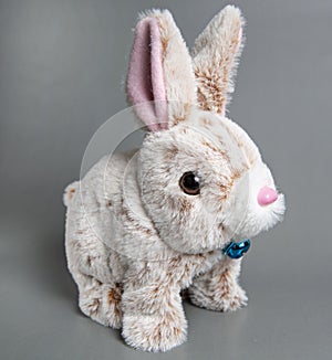 Soft fluffy rabbit toy with long ears, isolated on a white background