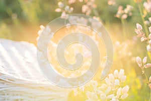 Soft focus beautiful grass flower filed with sun light on summer time for background.