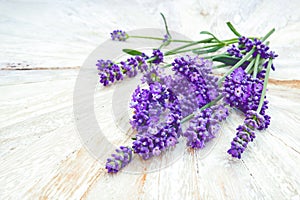 Soft focus Bunch of Lavender flowers on a white wooden table background, top view .