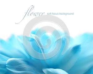 Soft focus flower background with copy space.