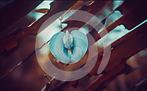 Soft focus grass flower spring nature relax wallpaper background