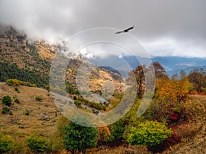 Soft focus. Highway through a mountain pass. Hawk over the mountain. Wonderful scenery with rocks and mountains in dense low