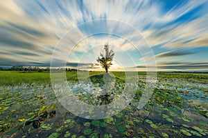 Soft focus landscape background reflection on the lake