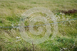 Soft focus of metal chain marking a boundary at a grassy field