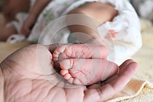 Soft focus of newborn tiny baby feet in parent hands