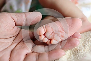 Soft focus of newborn tiny baby feet in parent hands