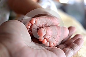 Soft focus of newborn tiny baby feet in parent hands