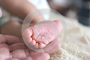 Soft focus of newborn tiny baby feet in parent hands