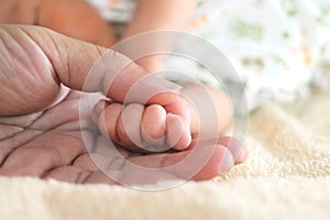 Soft focus of newborn tiny baby hands in parent hands