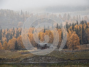 Soft focus, poor visibility. Snow during fall. Small house under the mountain. Golden autumn landscape of snowy foggy morning in