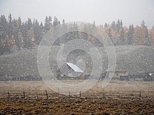 Soft focus, poor visibility. Snow during fall. Small village under the mountain. Golden autumn landscape of snowy foggy morning in